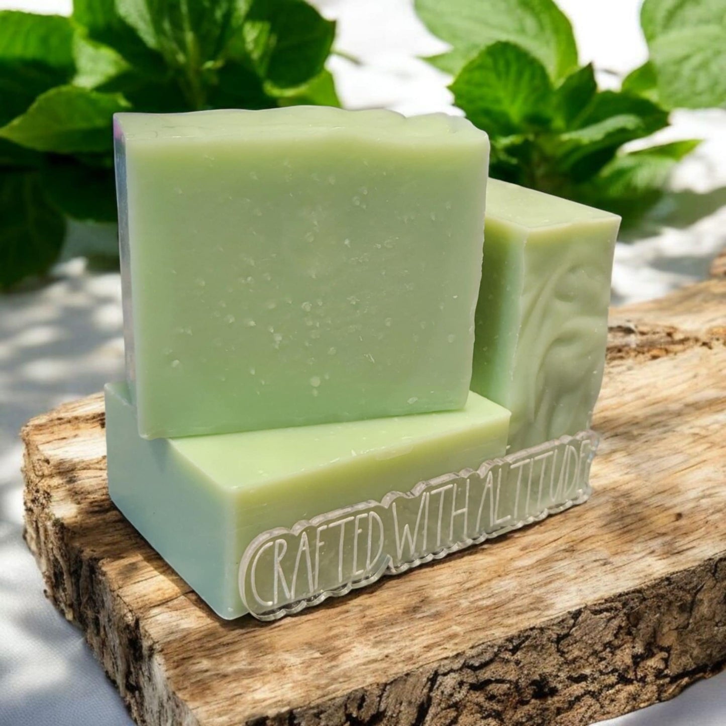 Eucalyptus & Mint